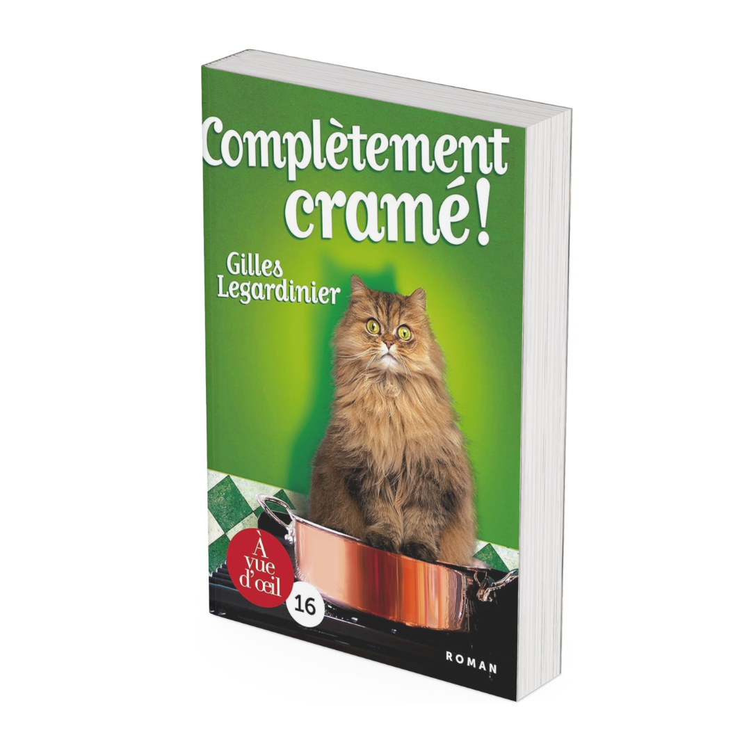 Complètement cramé ! - Occasion poche