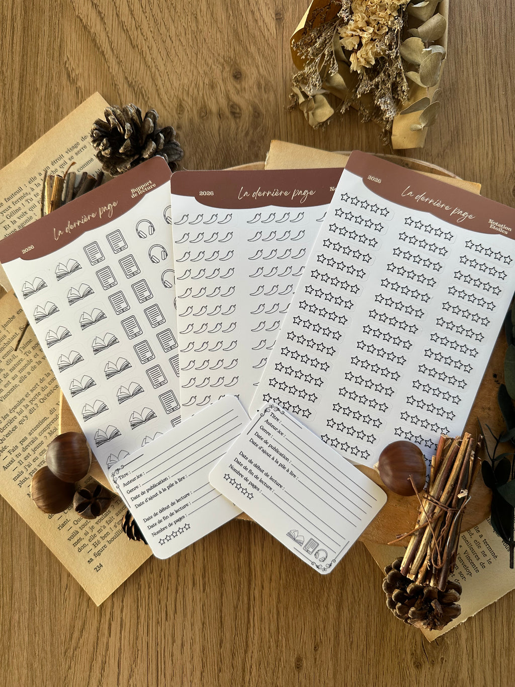 Kit de stickers carnet de lecture