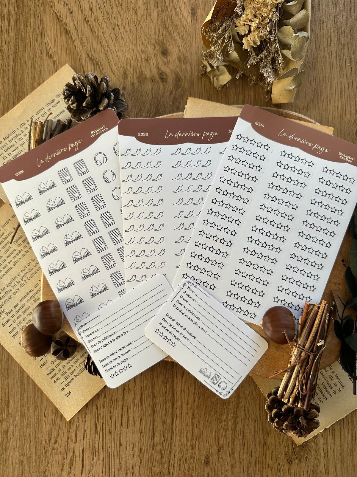 Kit de stickers carnet de lecture