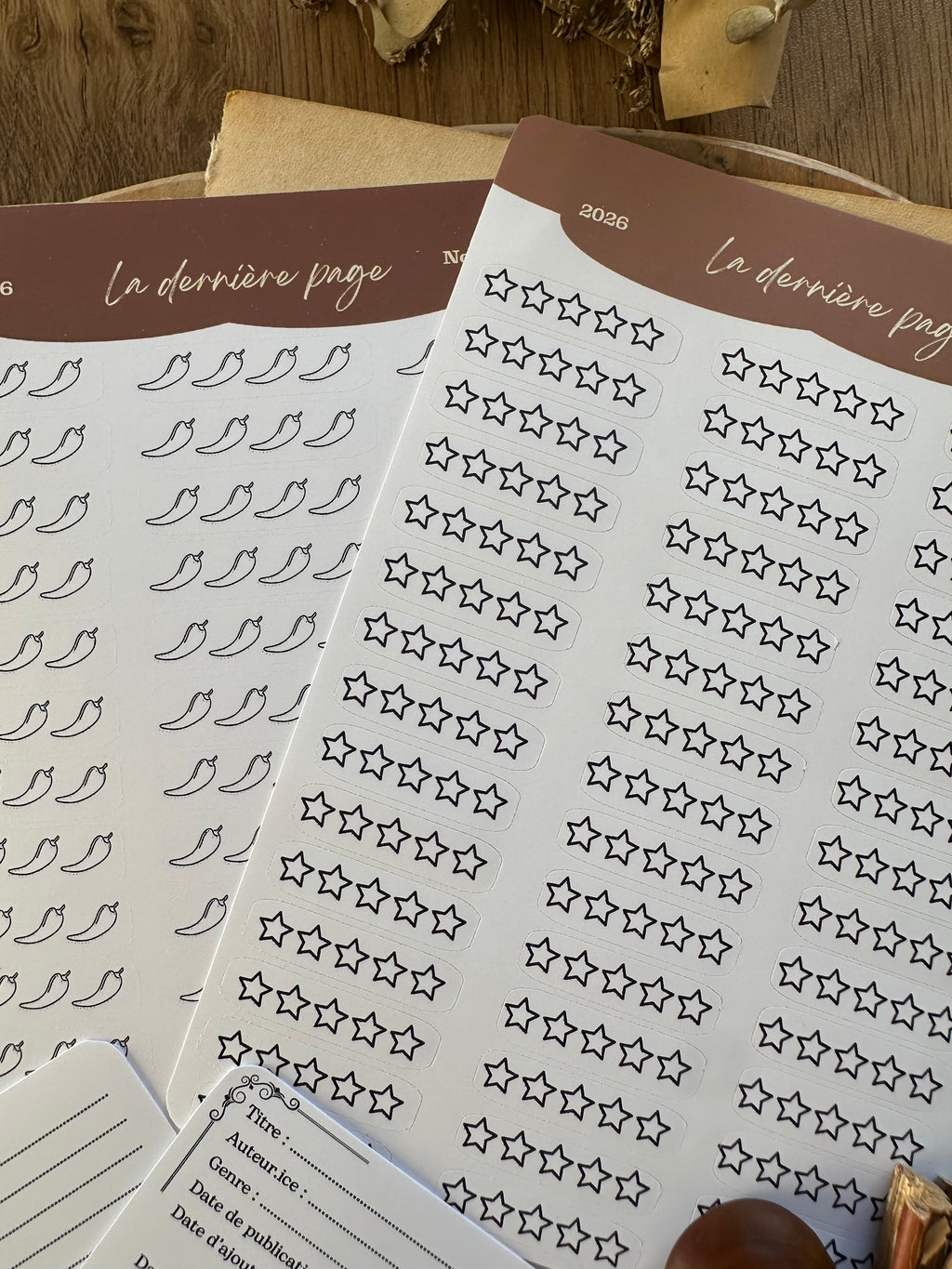 Kit de stickers carnet de lecture