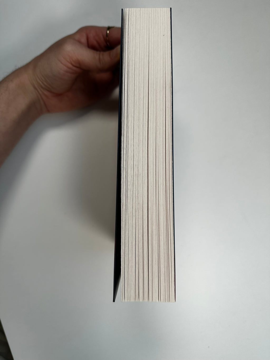 Les Frères Reynolds, Tome 1 : Pole Position - Aimée Lou - Occasion