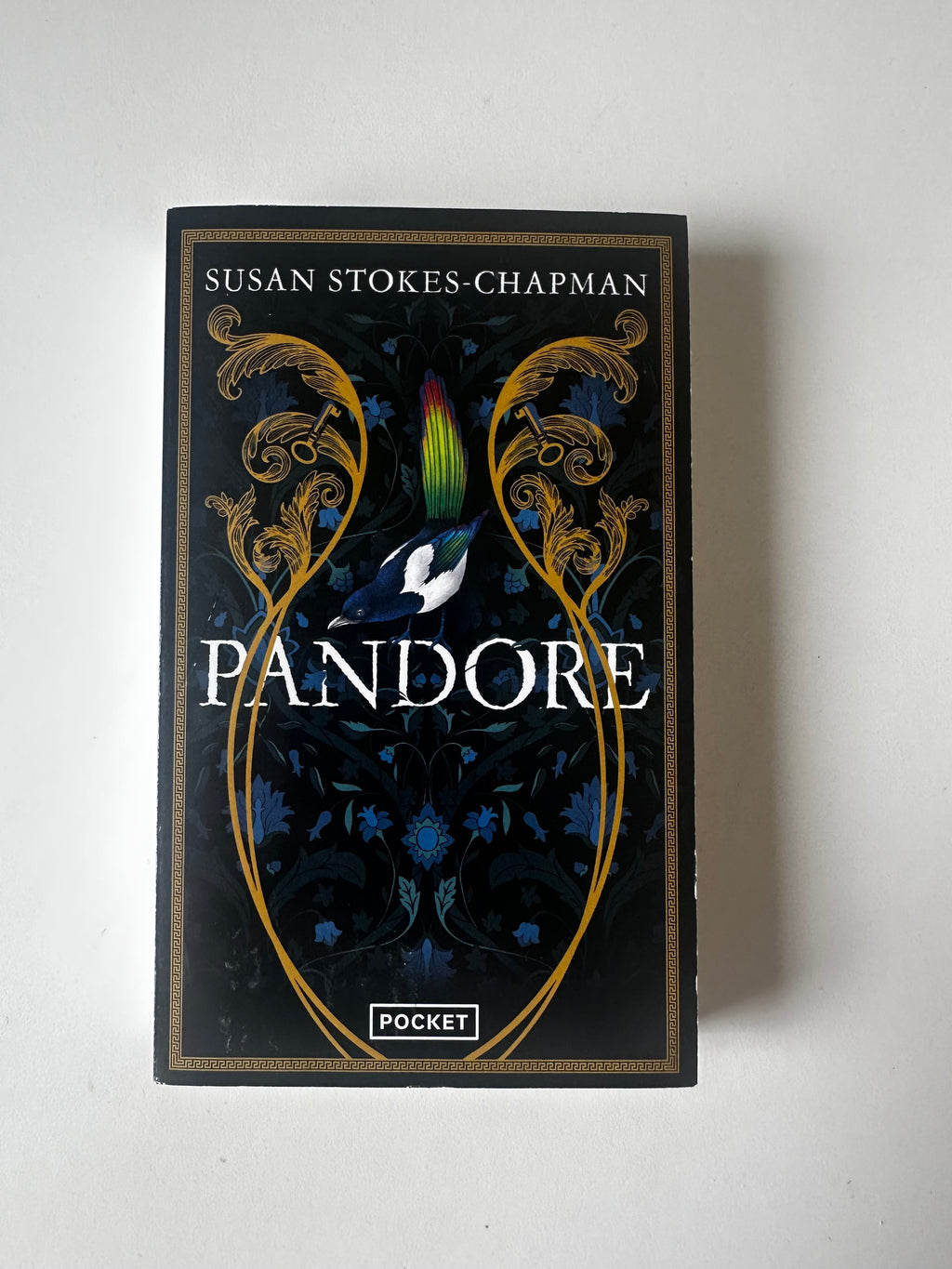 Pandore de Susan Stokes-Chapman - Occasion poche