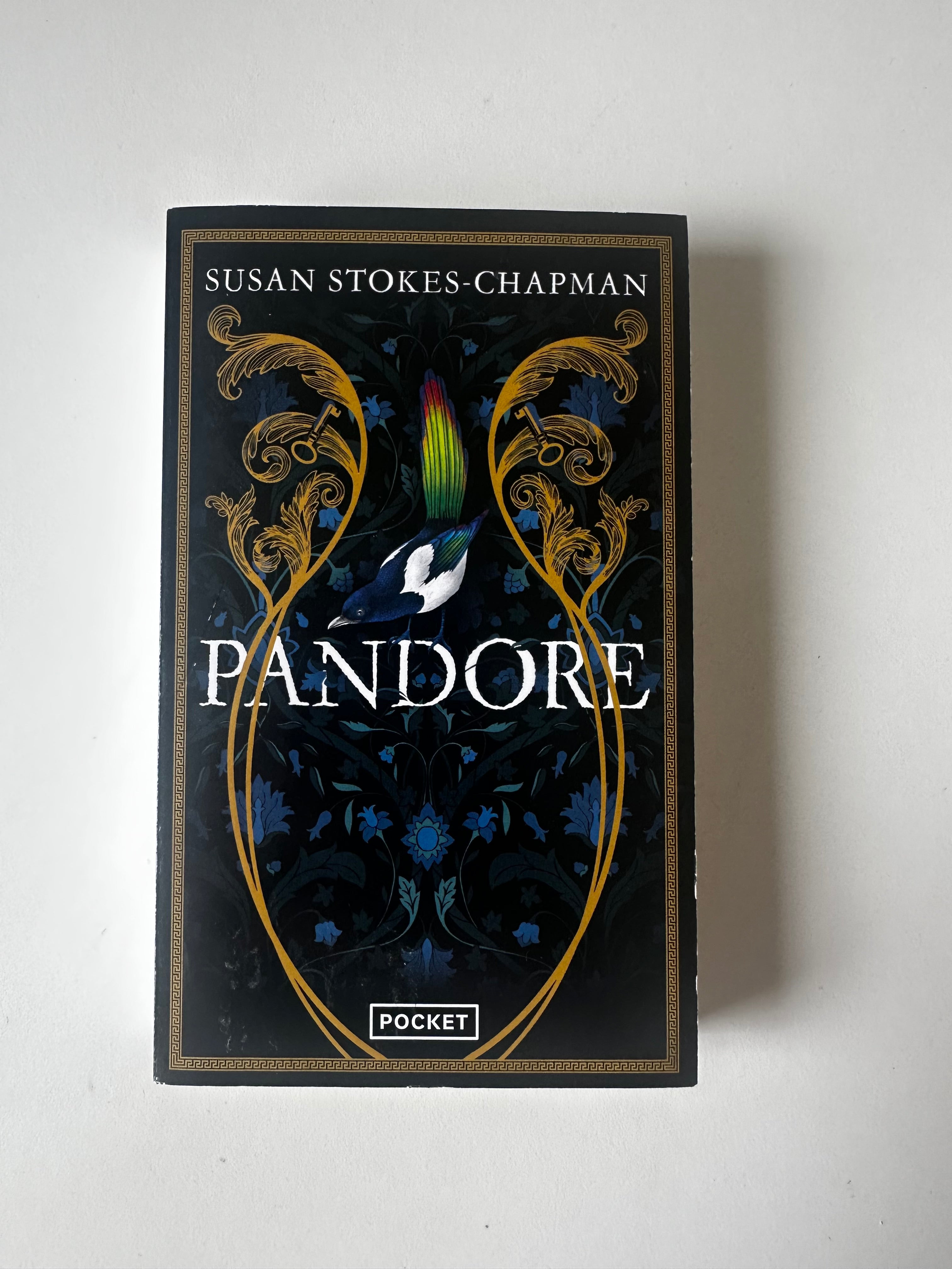 Pandore de Susan Stokes-Chapman - Occasion poche