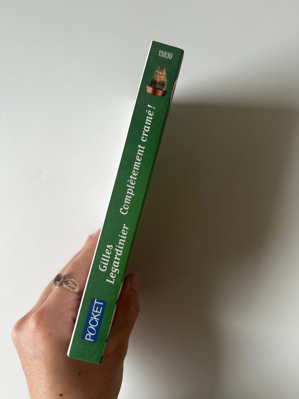 Complètement cramé ! - Occasion poche