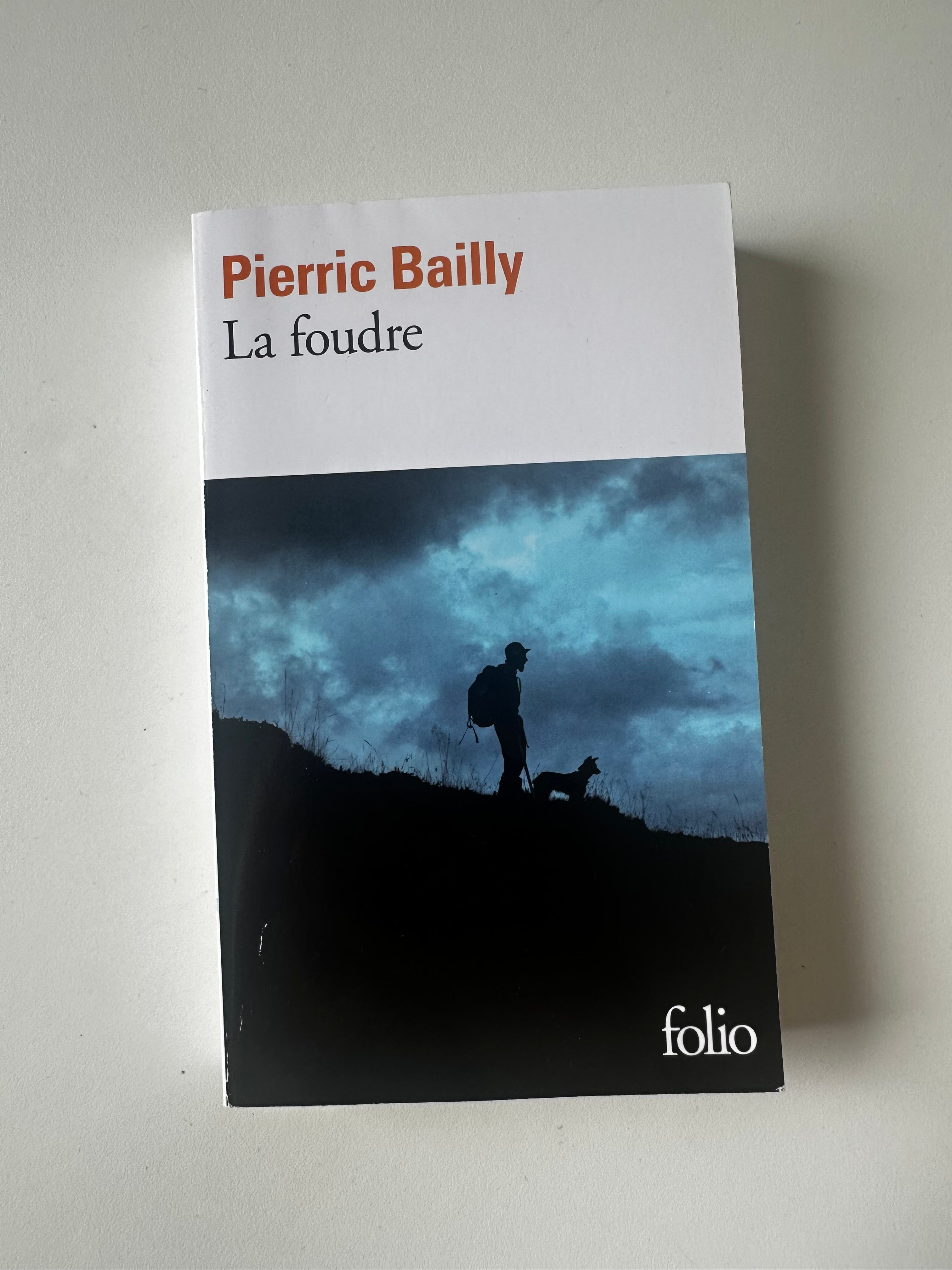 La Foudre - Occasion poche