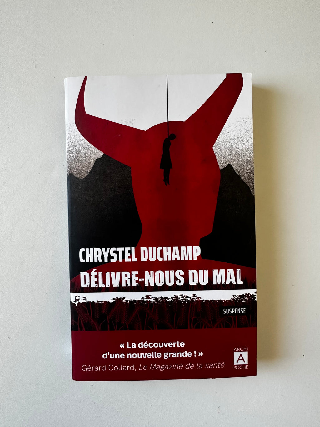 Délivre-nous du mal - Chrystel Duchamp - Poche occasion