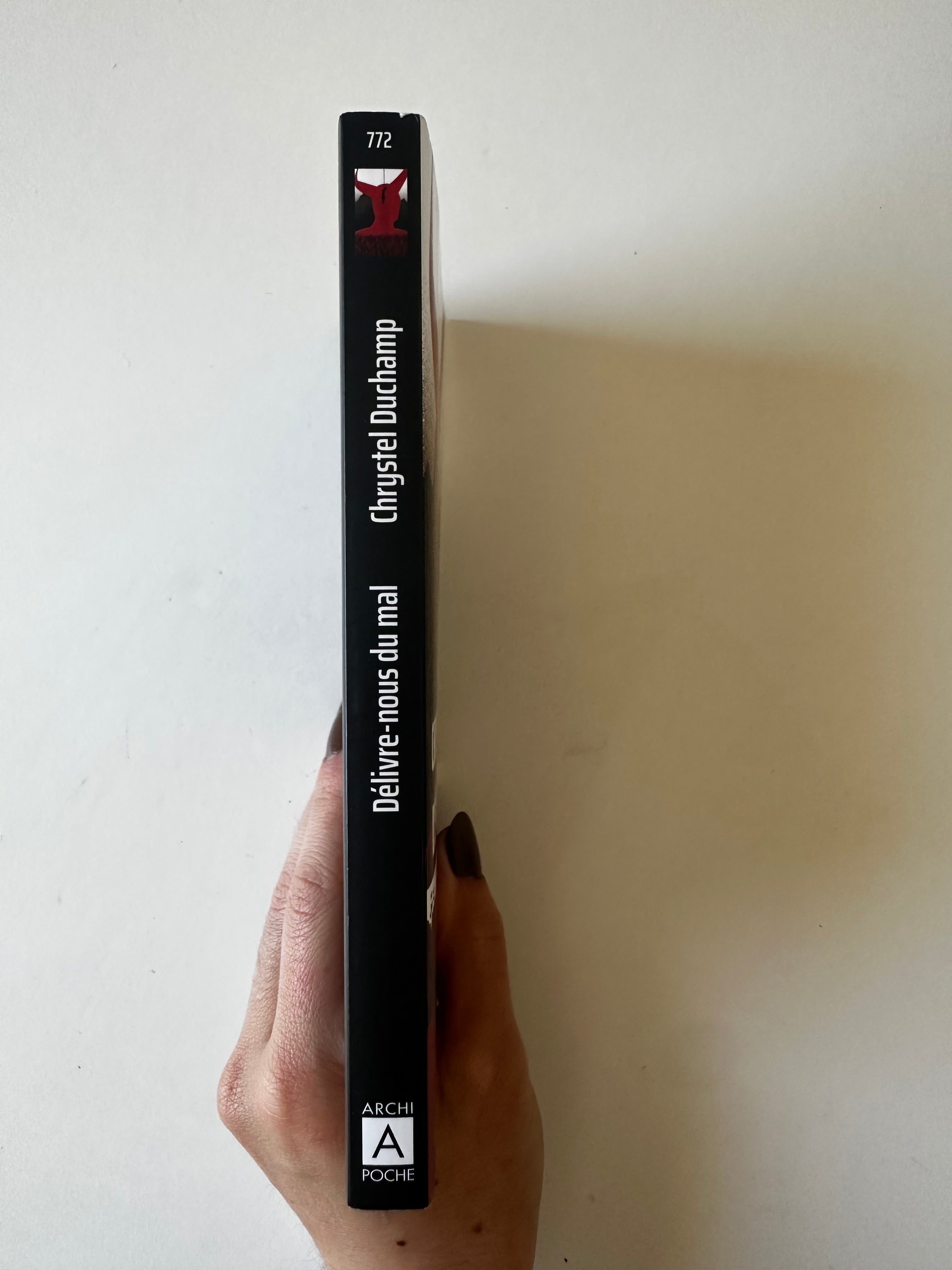 Délivre-nous du mal - Chrystel Duchamp - Poche occasion