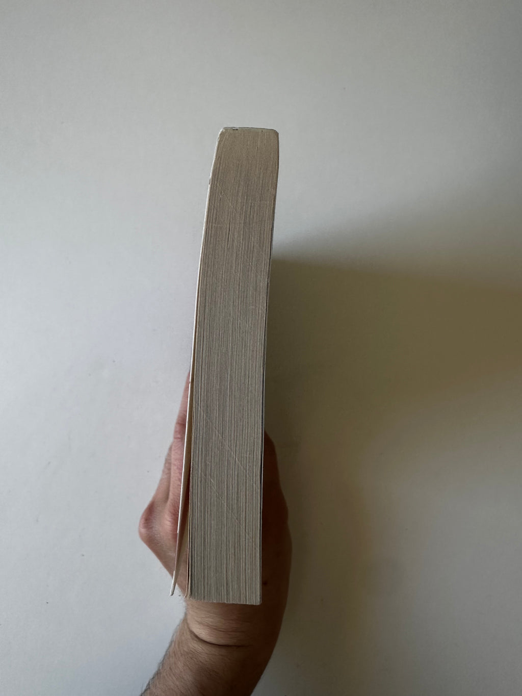 Délivre-nous du mal - Chrystel Duchamp - Poche occasion