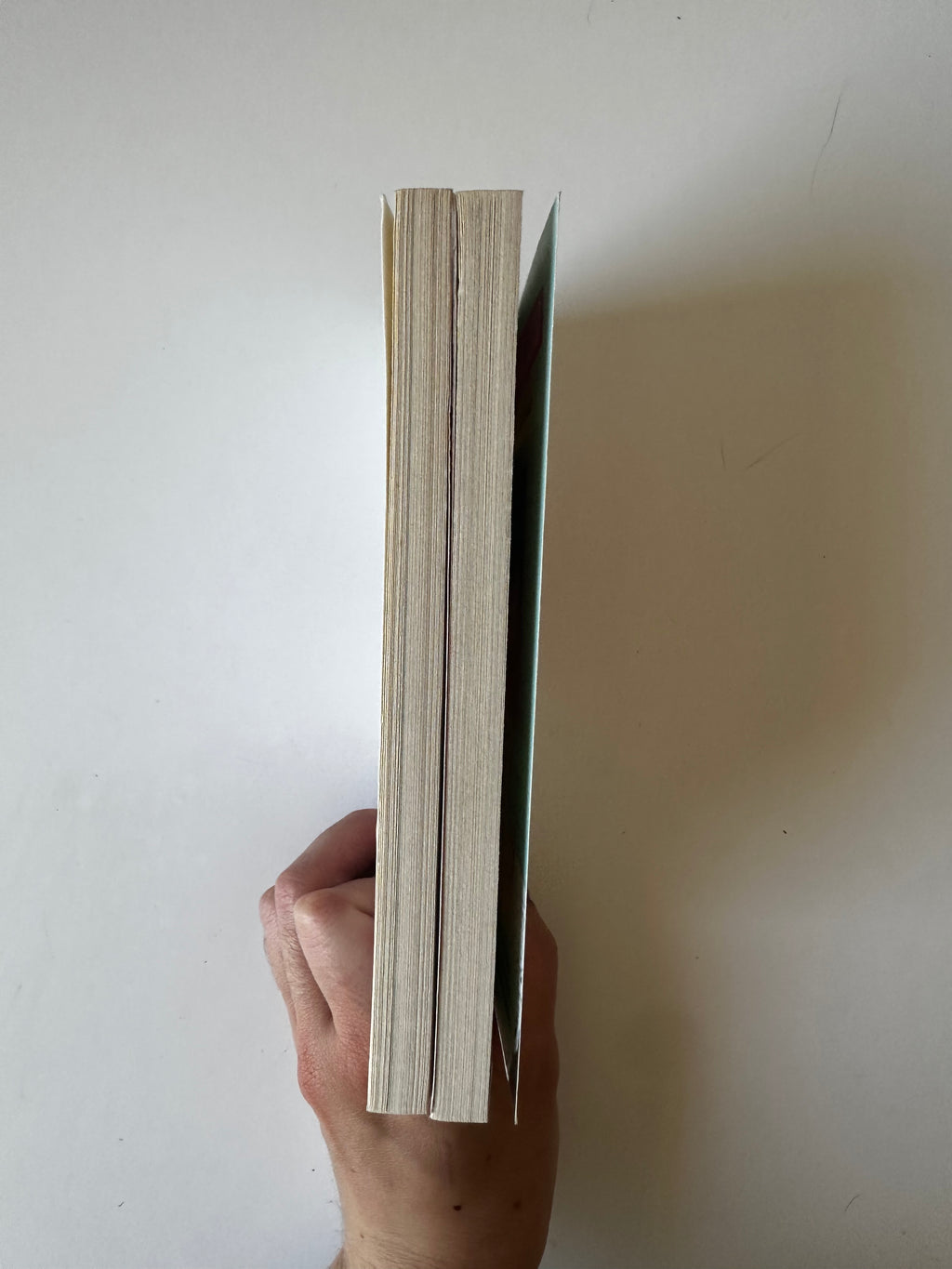 La Femme parfaite est une connasse – Tomes 1 et 2