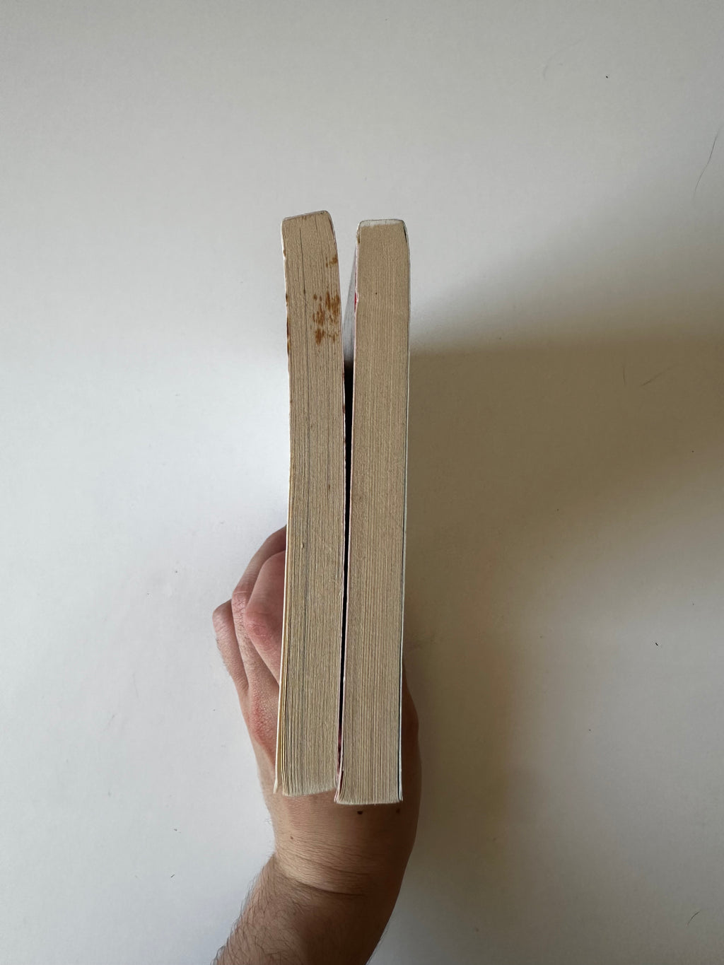 La Femme parfaite est une connasse – Tomes 1 et 2