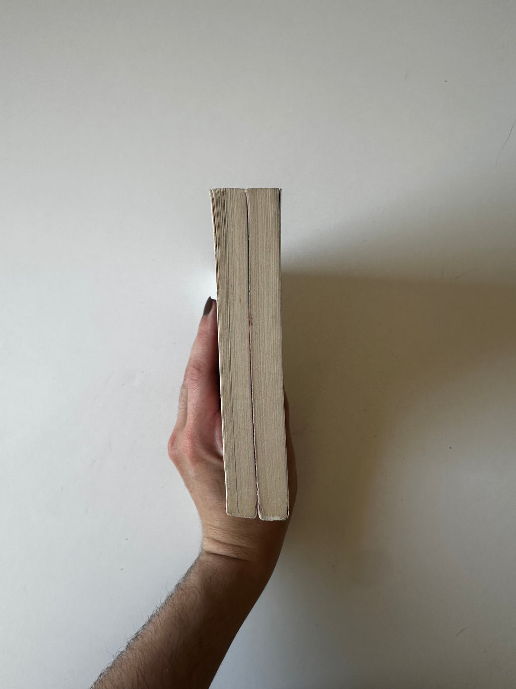 La Femme parfaite est une connasse – Tomes 1 et 2