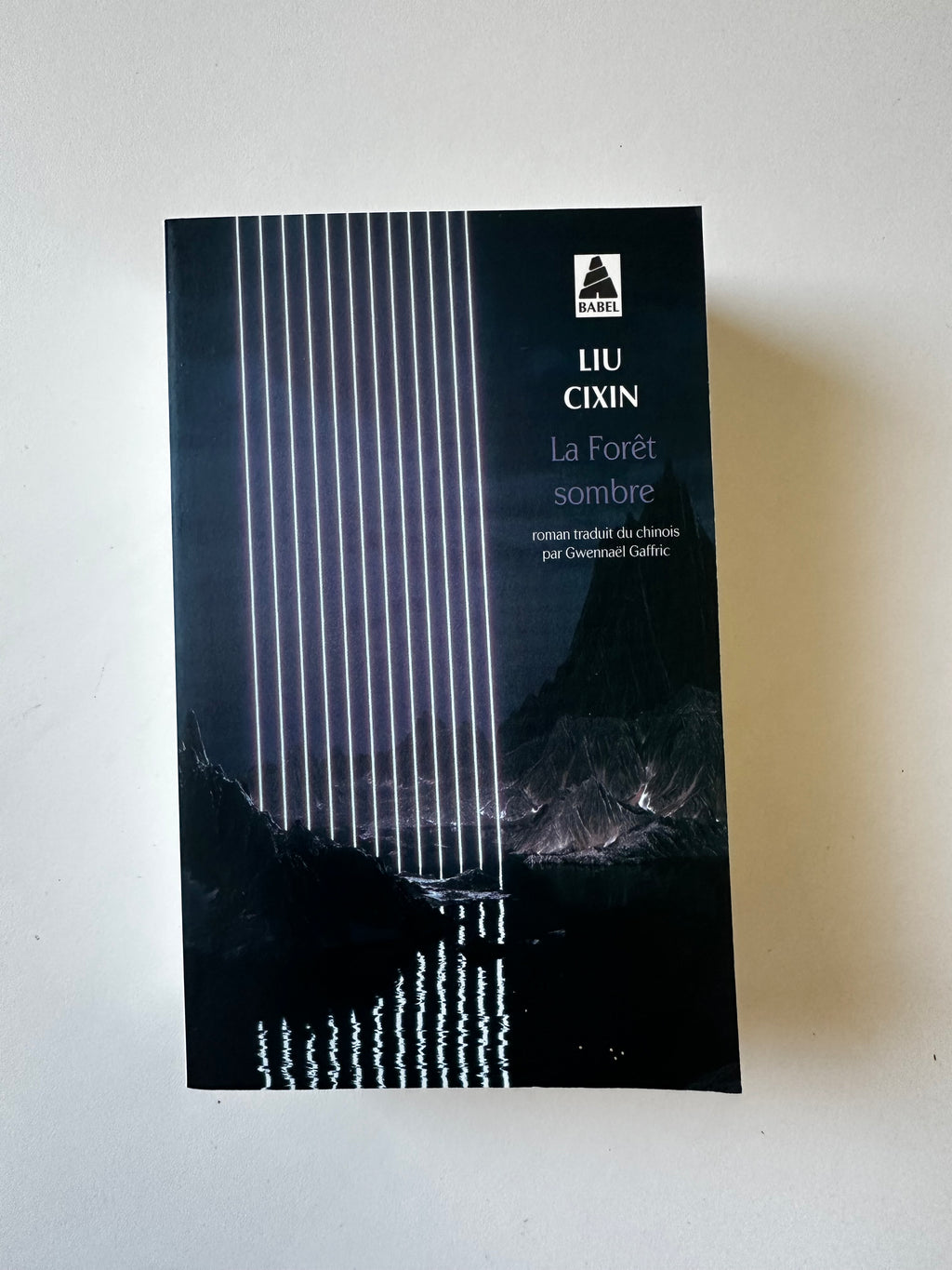 La Forêt sombre - Liu Cixin - Occasion