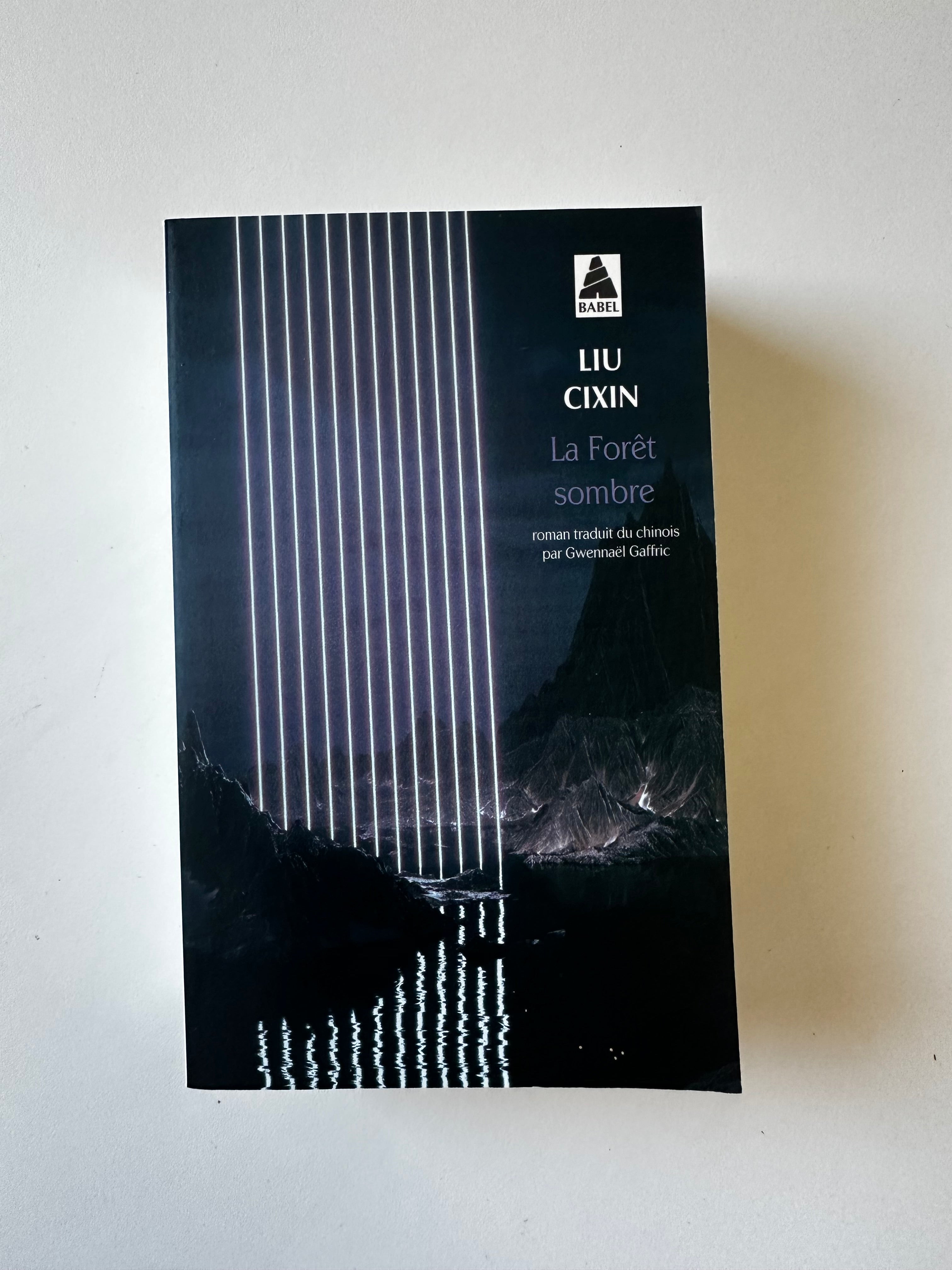 La Forêt sombre - Liu Cixin - Occasion