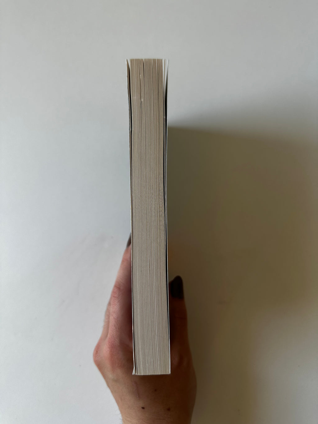 La Malerune Tome 1 - Pierre Grimbert - Occasion