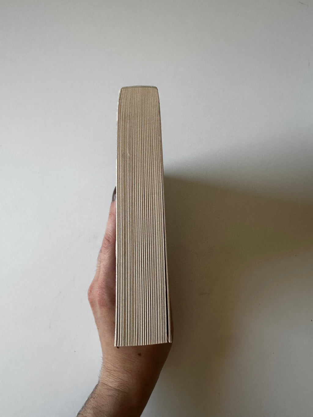 La Malerune Tome 1 - Pierre Grimbert - Occasion