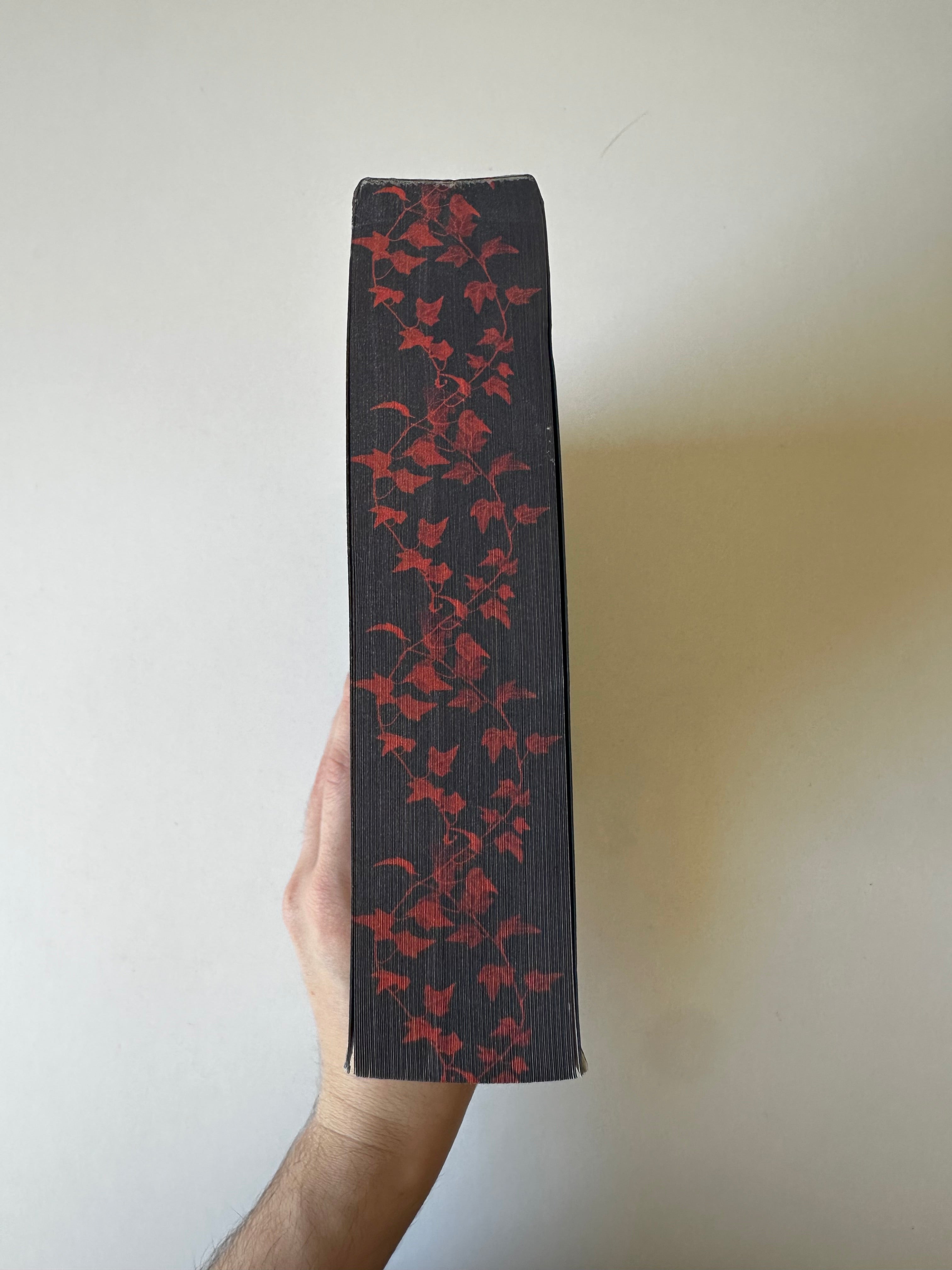 La Promesse d'Avalon Tome 1 de Lise Syven - Occasion