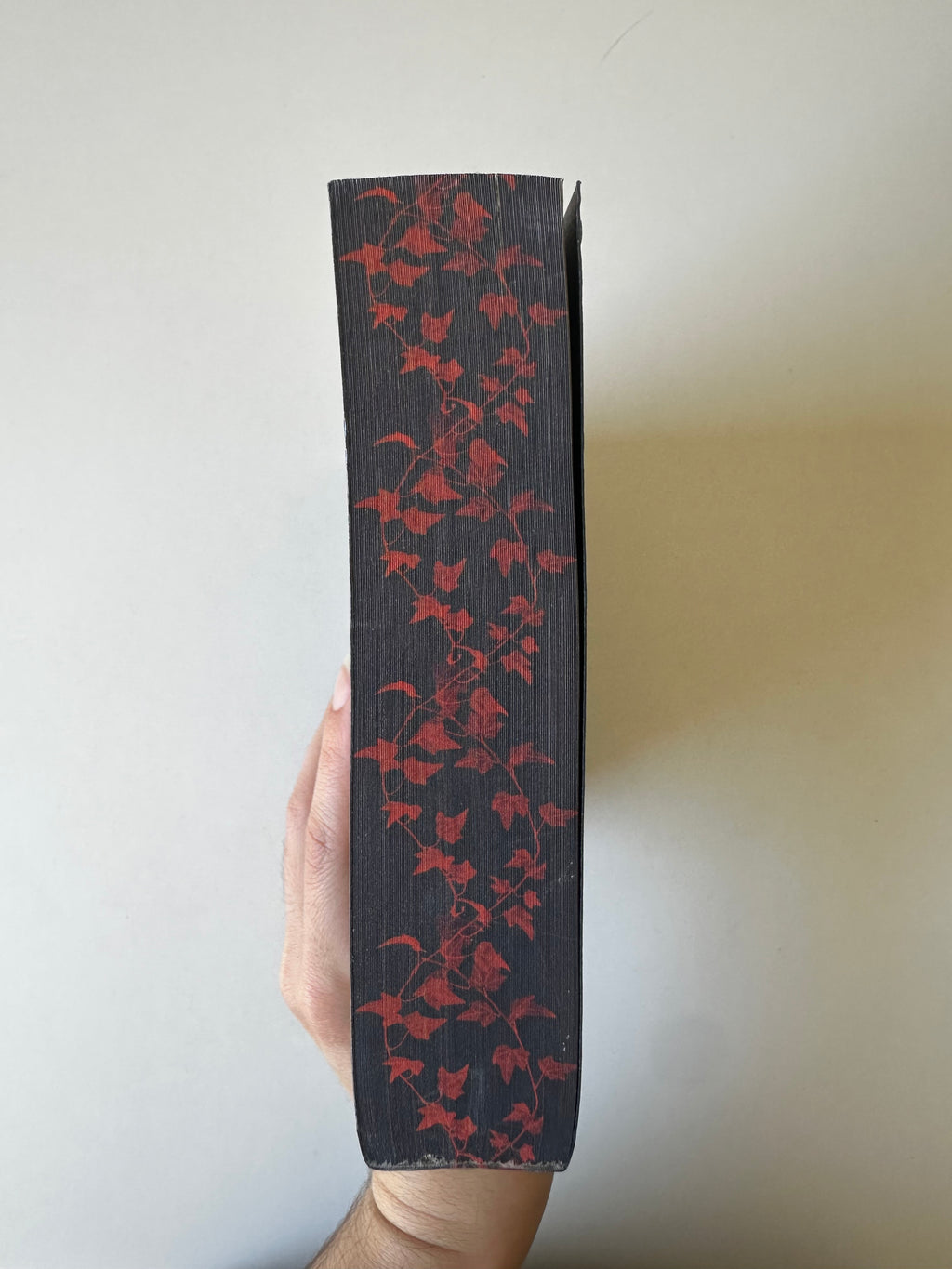 La Promesse d'Avalon Tome 1 de Lise Syven - Occasion