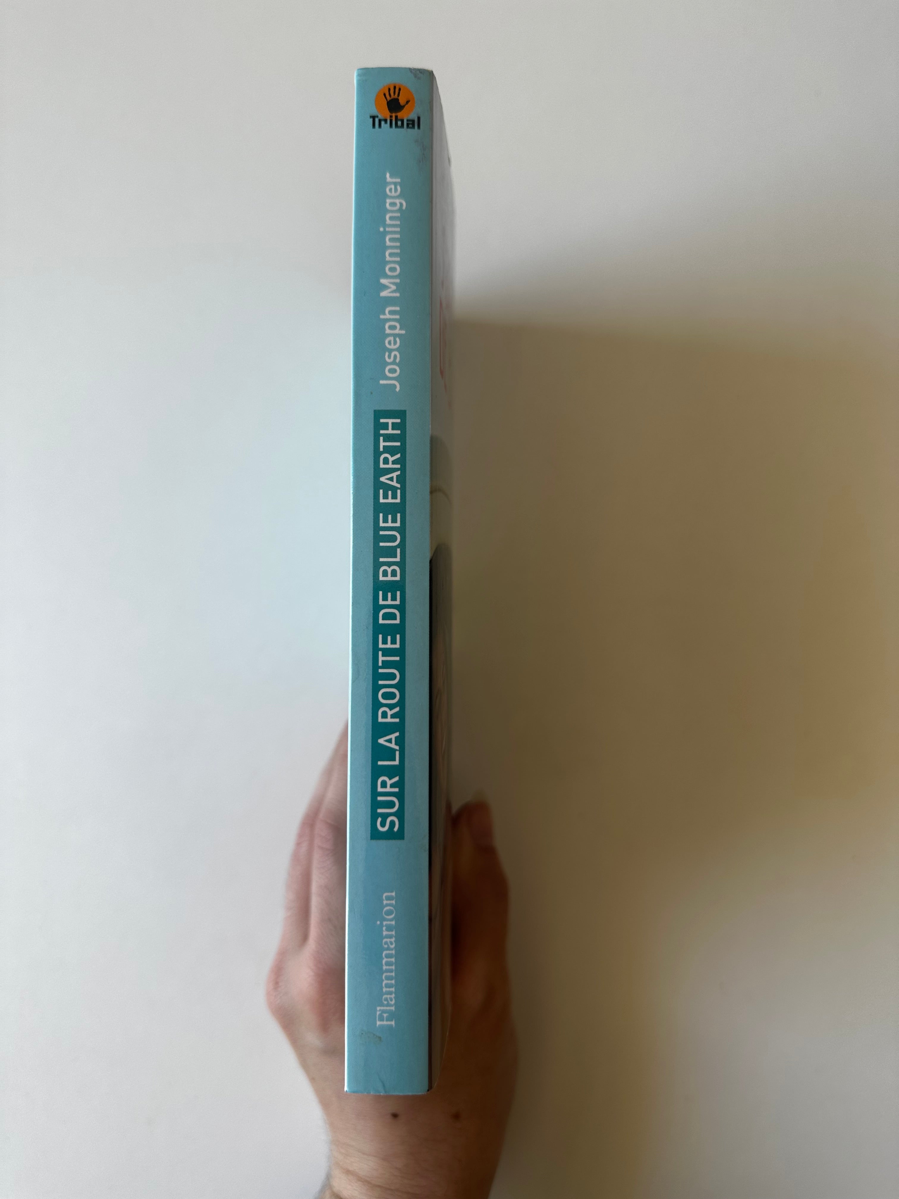 Sur la route de Blue Earth de Joseph Monninger - Occasion