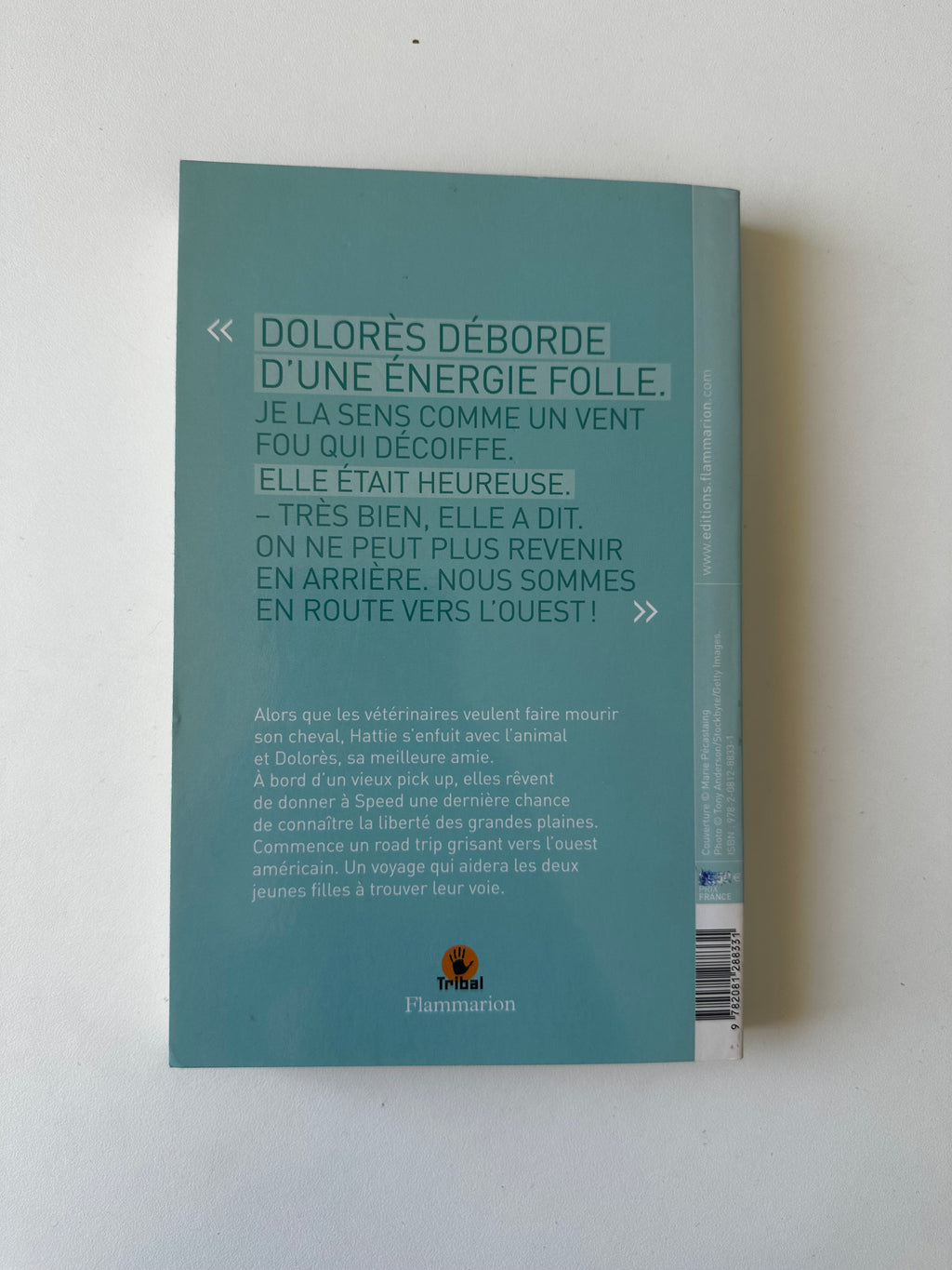 Sur la route de Blue Earth de Joseph Monninger - Occasion