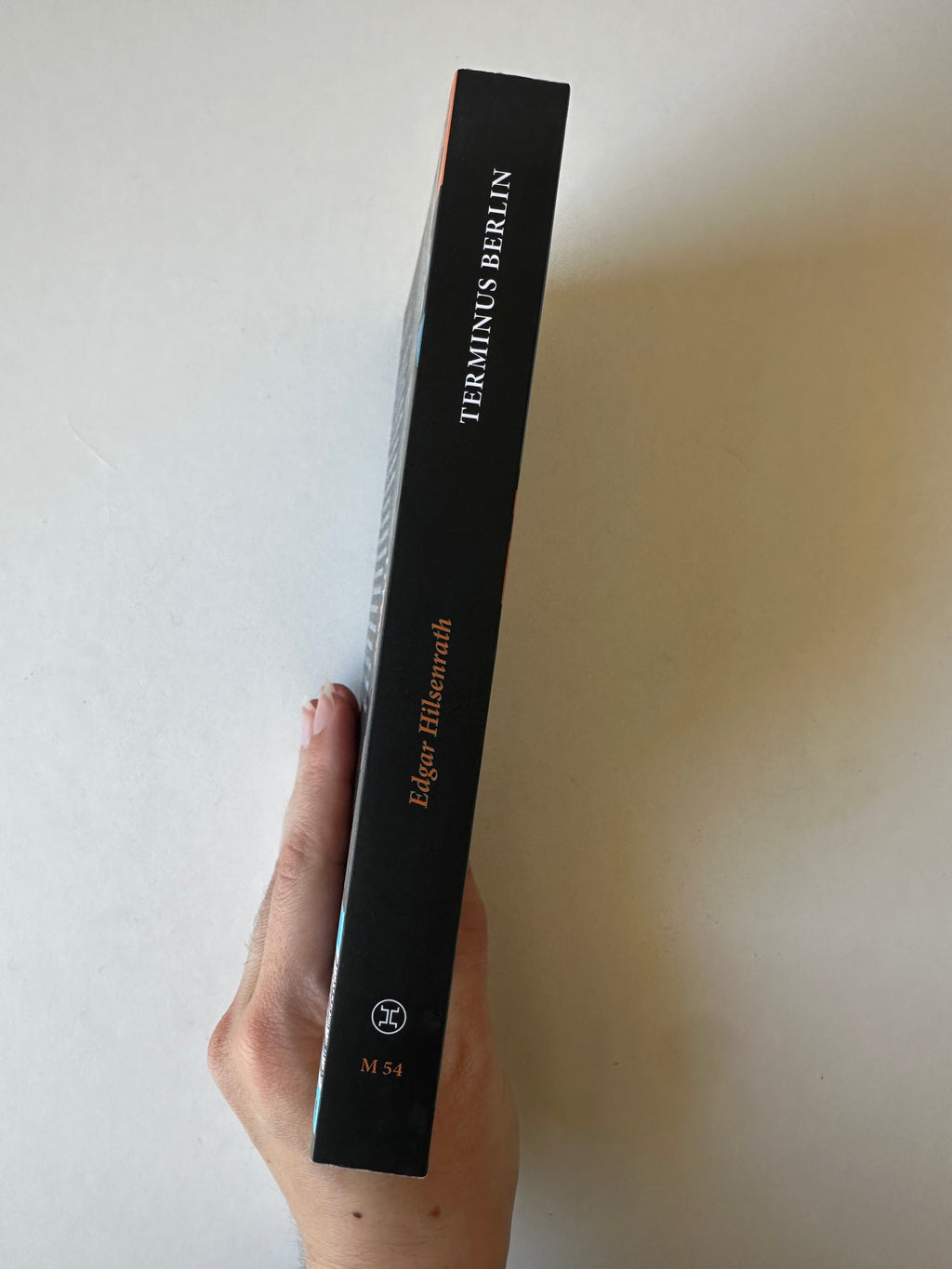 Terminus Berlin de Edgar Hilsenrath - Occasion