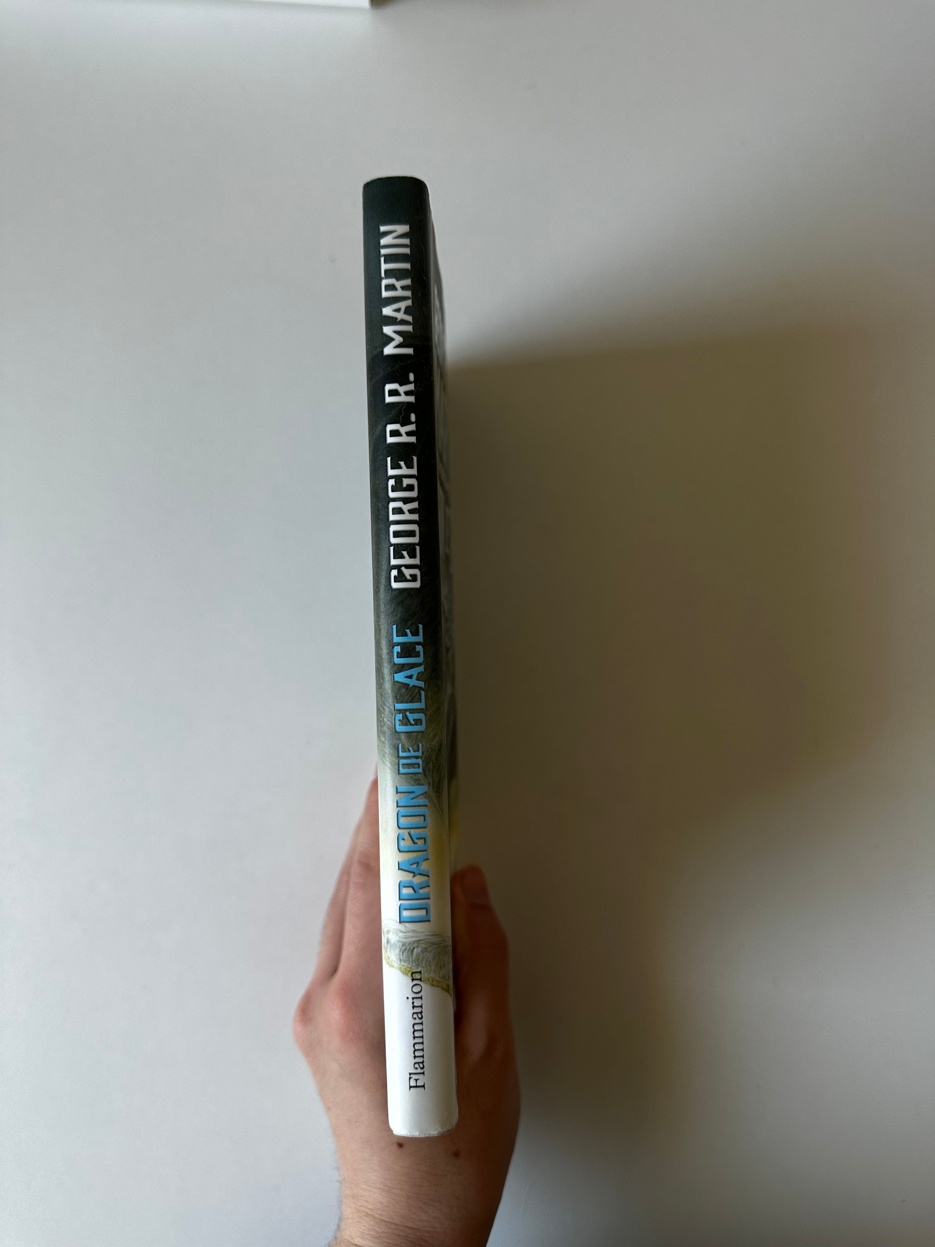 Le Dragon de glace de George R. R. Martin - Occasion