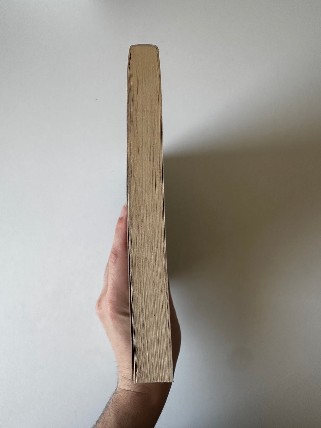 L'Œuf de dragon de George R. R. Martin - Occasion