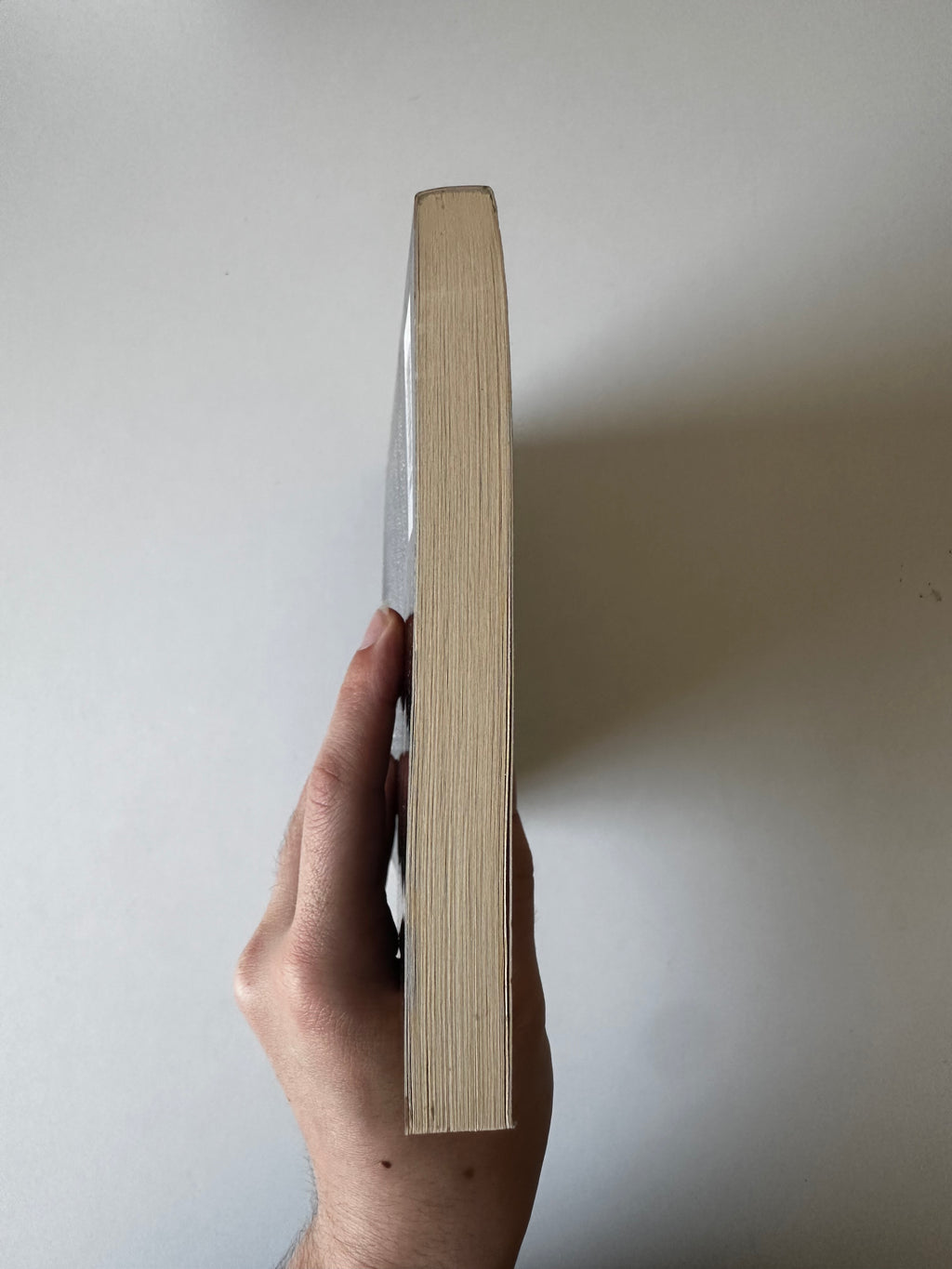 L'Œuf de dragon de George R. R. Martin - Occasion