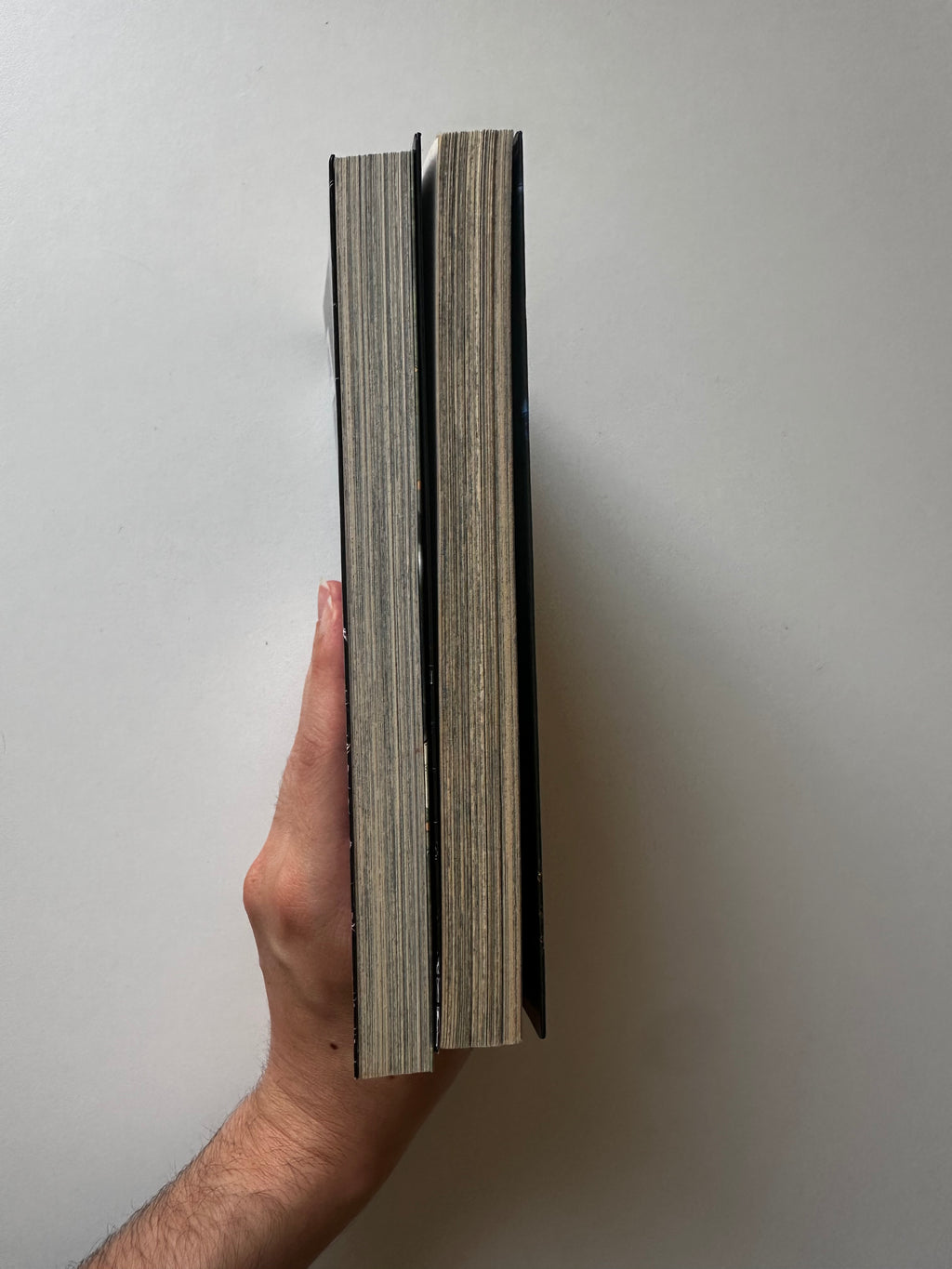Gunnm Tomes 1 et 2 et Yukito Kishiro - Occasion