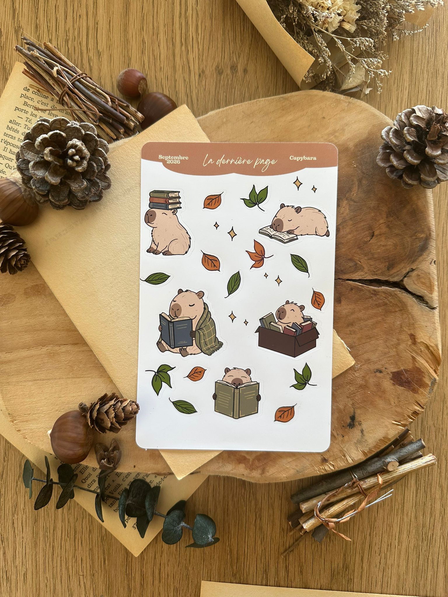 Planche de stickers Capybara Lecture