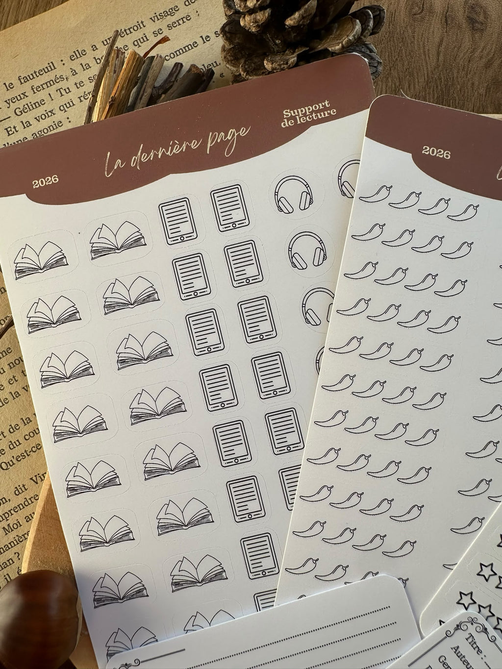 Kit de stickers carnet de lecture